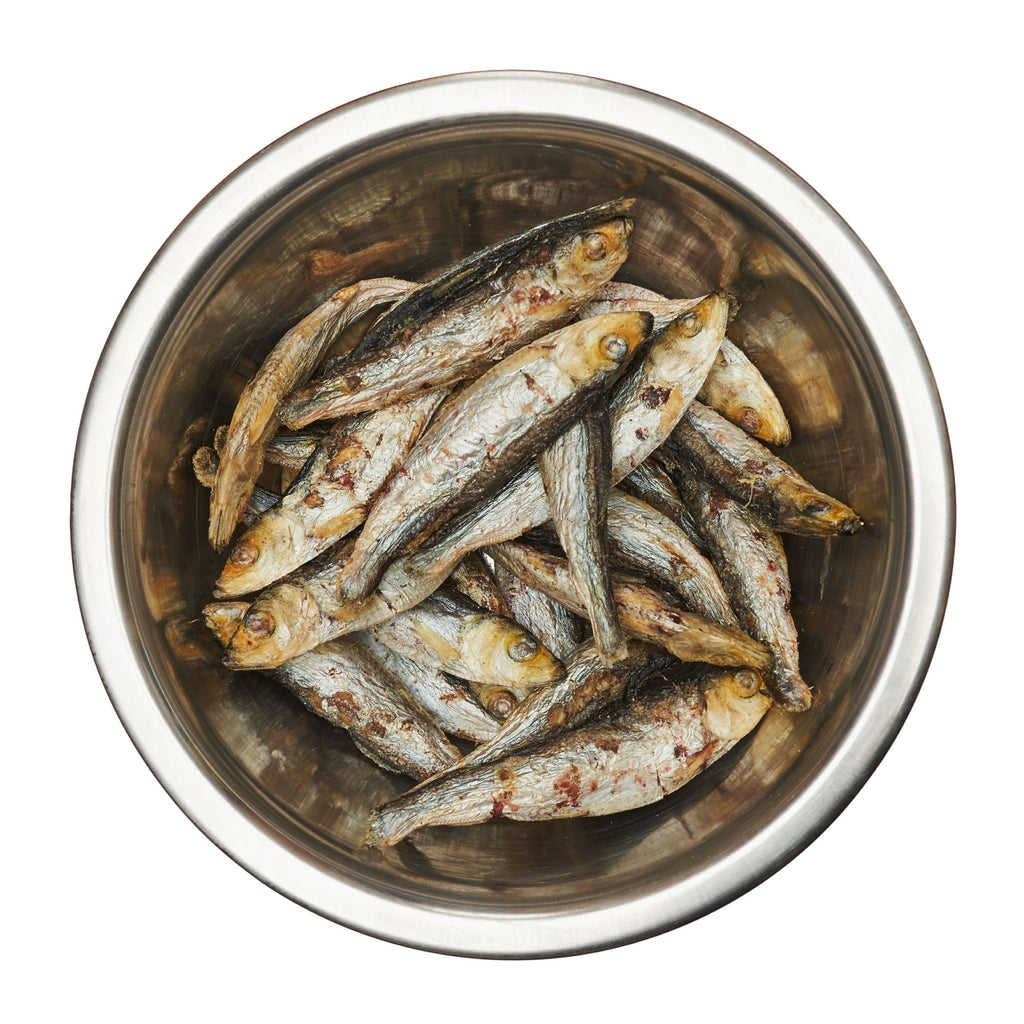 100% Natural Freeze-Dried Hand Caught Raw Baltic Sprat Snacks